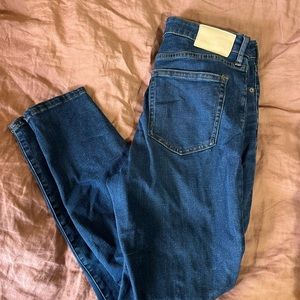 Everlane Curvy High Rise Skinny Jeans